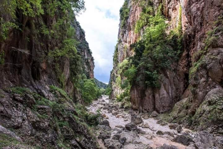Gjipe Eco Campground Vuno Kültér fotó